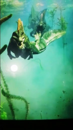 spinosaurus Real sound