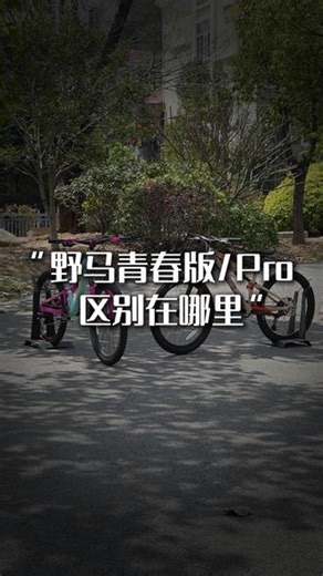 野马青春版和野马Pro怎么选？一条视频告诉你答案#福建喜德盛自行车 #喜德盛青少年自行车 #喜德盛野马Pro #喜德盛野马青春版