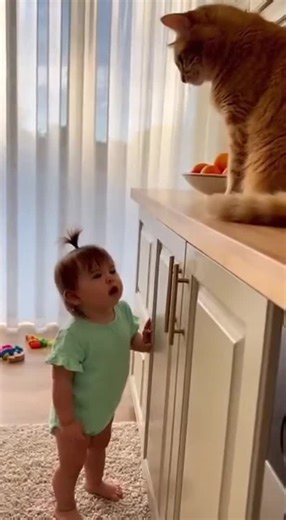 Her Daily Zoo | Cute Pets 🐶 on Instagram: "POV: When your toddler thinks they're the zoo boss 😅 Our tiny zookeeper trying to enforce counter rules, but this orange tabby had different plans! That final orange toss though 🍊 Real talk: Who else's cat pulls these power moves? 👇 Help our tiny zoo grow! These adorable moments often get buried by the algorithm, but true pet parents know the magic ✨ #HerTinyZoo #ToddlerLife #CatSass #BabyAndPet #OrangeCat #ToddlerBoss #PetFail #FunnyPets"