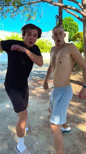 Is That a Watermelon Tree? Discover the Secrets! 🌳🍉