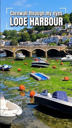 Cornwall, Must-see Looe Harbour UK's Hidden Gem 🇬🇧 | #shorts