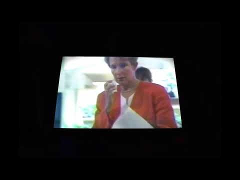 VHS Project (Katzenurlaub) progress 5