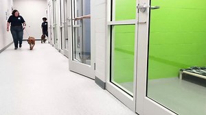 10K views · 490 reactions | Augustus Gloop was the very first pup to...