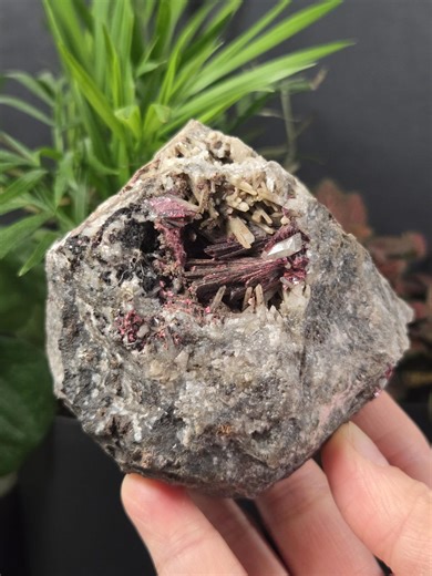 Erythrite - Rare Mineral - Natural Mineral Crystal Specimen - Etsy