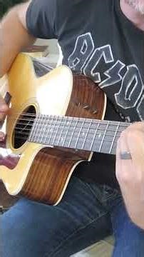 Taylor 254ce DLX 12 string demo