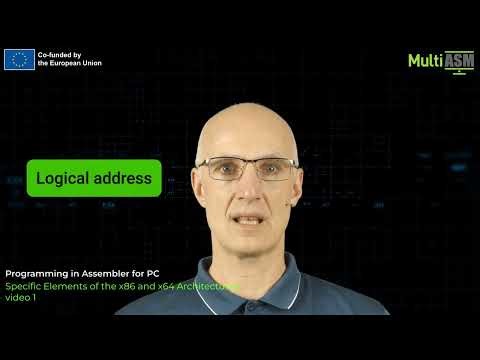MultiASM4x 2 Specific Elements of the x86 and x64 Architectures video 1