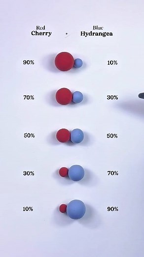 Let's Mixing Red Cherry Blue Hydrangea😍 #colormixing #painting #satisfying #artandcraft #art | Color Mixing Lab