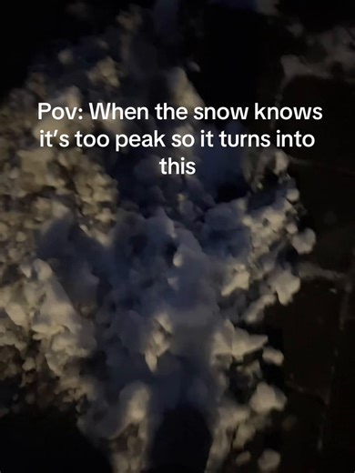 The Snow's Realistic Transformation in the Netherlands