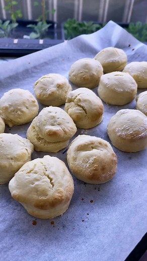 Easy 3 Ingredient Australian Scones Recipe