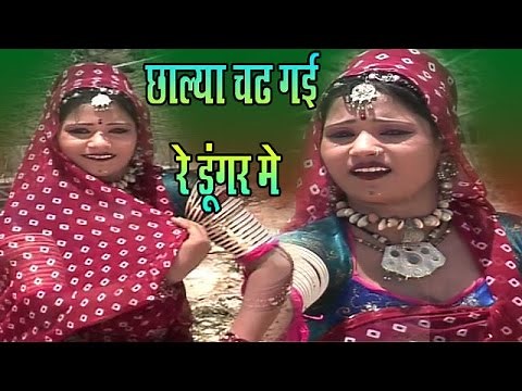 Rajasthani Song 2025 - छाल्या चढ़ गयी रे डूंगर पे - Chalya Chad Gayi Re Dungar Pe - रानी रंगीली