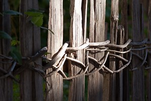How to Build a Perfect Wattle Fence Starting Today - Garden and Happy