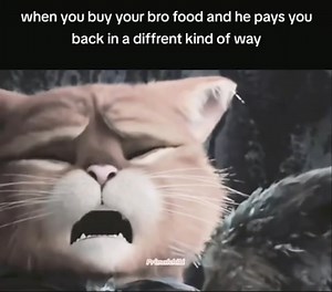 379K views · 11K reactions | True Friendship! #Furrytrash #FurryFandom #Furry | FurryTrash | Facebook