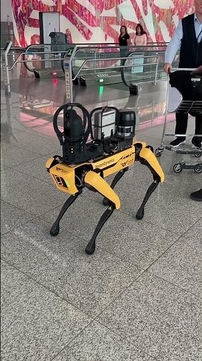 ボストン・ダイナミクス ロボット犬 #ロボット犬 #ボストン・ダイナミクス