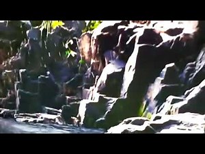 Dinosaur The Egg Travels en Disney+