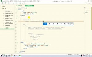 013-HTML_常用标签_表单form