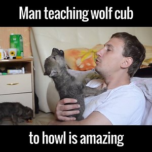 This is my new favourite video. So cute! 󾌴󾍘 via Caters News Agency | UNILAD