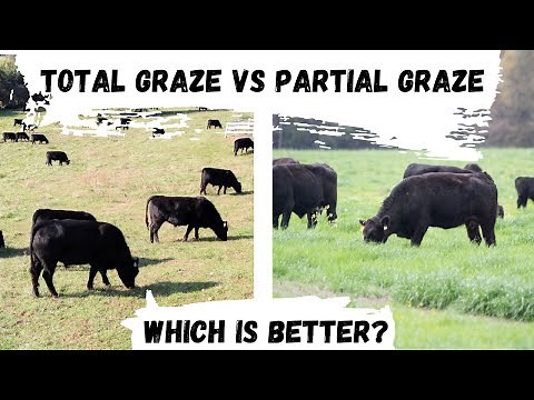 Total vs Partial Grazing: Which is better for Rotational Grazing?