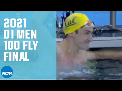 Men's 100 Butterfly | 2021 NCAA Swimming Championships