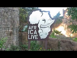 San Antonio Zoo Full Tour 2021