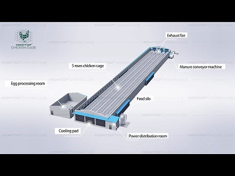 Fully Automatic Poultry Farm Equipment, Automated Poultry Battery Cage System