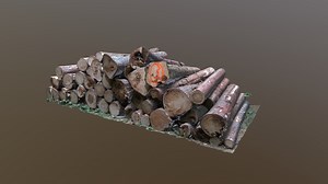 log pile - 3D model by coolda