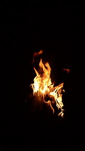 Download Fire Torch burning for free