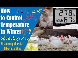 How To Control Broiler temperature In Winter?