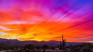 3 Arizona national forests are lifting fire restrictions and closures