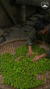 The Art of Making Chinese Sour and Refreshing Green Plum Drink