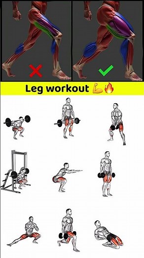 Ultimate Leg Day: Best Full Leg Workouts for Strength & Size!