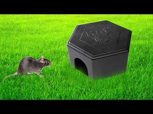 RatX Bait Stations