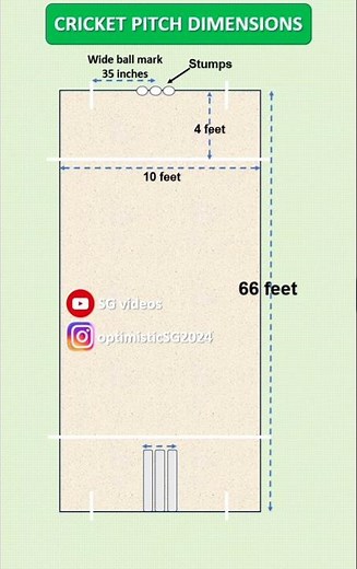 #cricket pitch length width stumps crease dimensions #cricketenthusiast #cricketshorts #cricketlover