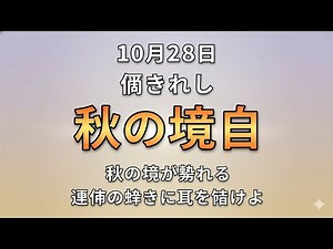 深遠なる秋の帳：隠された知恵と警告の28日