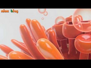 Nickelodeon Bumpers HD EUA