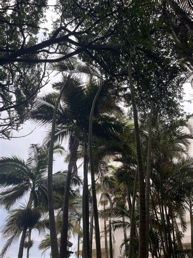 Revisiting the Joy of Hearing a Song for the First Time