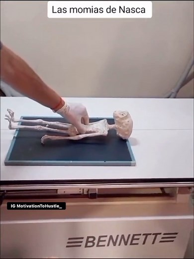 😳 Mexican Government unveiled an Alien corpse to the public that is 1,000 years old 😳👽🛸 #Aliens | Thoughts 👇🏿 | Motivation To Hustle