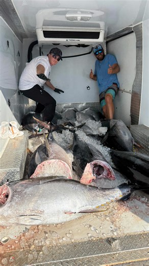 Teddy Prager III on Instagram: "When the boats still moving and you keep getting bites, hooking 8 Bigeye tuna at once #tuna #trolling #hookedup #fish #boat"