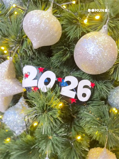 Welcome 2026 🎆✨ May this year be full of happiness. 😎 DMD NEW YEAR #DMDxNEWYEAR2026 #domunditv