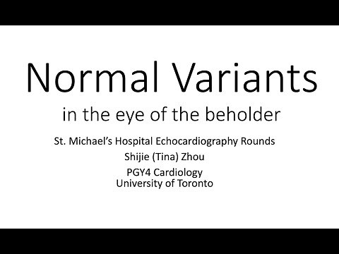 Echocardiography normal variants in the eyes of the beholder