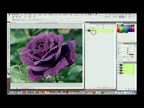Selective Color Tutorial in Photoshop CS5