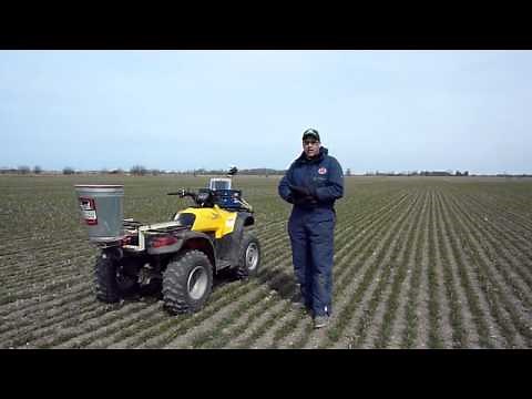 Planting Red Clover - the "Cover-Crop"