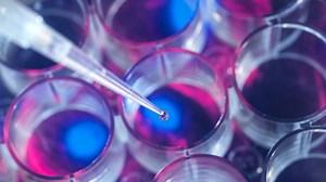 5 advances in tissue engineering you need to know about