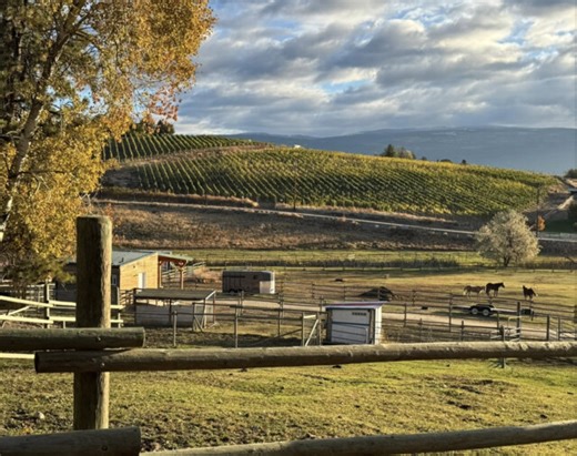 Summerland animal rescue extends holiday season well wishes