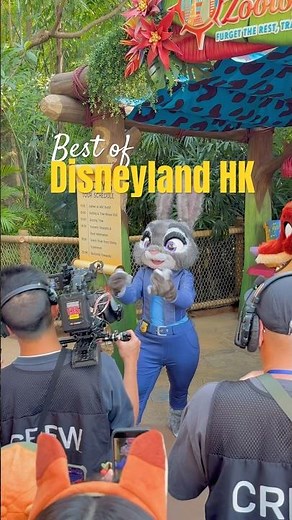 Why HK Disneyland is the BEST Disney Park in 2026!