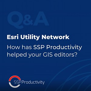How to simplify tasks with SSP Productivity | SSP Innovations, LLC posted on the topic | LinkedIn