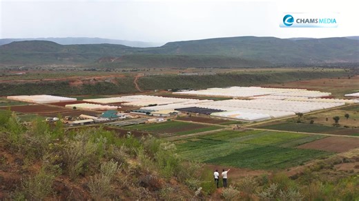 Watch this video to get a feel of a new life changing project in Solai, Nakuru, inside the New Agrodeal Farm. The project, known as The GREAT RIFT VALLEY RETREA is a 550-acre freehold master planned development, just 50 km North of Nakuru. Set within an export horticultural farm, the establishment offers development-ready serviced plots and farmland, presenting a unique opportunity for visionaries, both local and diaspora, to secure land in an infrastructure-studded community that blends investm