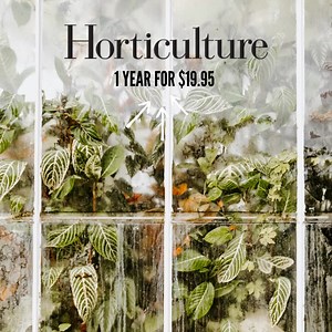 21 reactions | Every issue of Horticulture magazine includes in-depth garden features, DIY design solutions, plants for every situation, ornamental and edible gardening tips and more! Subscribe today and get a FREE gift! | Horticulture: The Art & Science of Smart Gardening | Facebook