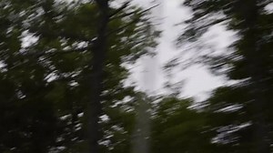 6.2K views · 118 reactions | PlayaPhonk - PHONKY TOWN (Bass Boosted)...