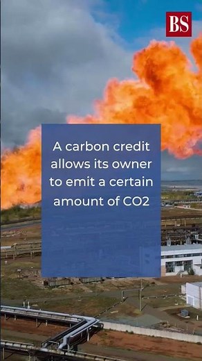What is carbon credit? Watch this to find out