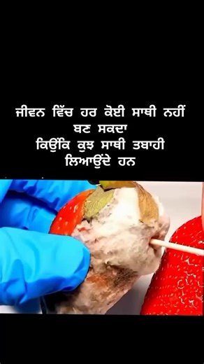 PUNJAB on Instagram: ". . 日本利用压电瓷砖将脚步转化为电能。这些瓷砖捕捉来自你脚步的动能。当你行走时，你的重量和动作会对瓷砖产生压力。瓷砖会轻微弯曲，从而产生机械应力。瓷砖内部的压电材料将这种应力转化为电能。每一步都会产生少量电荷，而数百万步结合在一起就能产生足够的电力来驱动 LED 灯、数字显示屏和传感器。在像涩谷车站这样繁忙的地方，每天大约有 240 万个脚步为这一系统作出贡献。这些电能可以被储存或立即使用，从而减少对传统电力来源的依赖，并支持可持续的城市基础设施。这种方法将日常运动转化为实用的可再生能源 #日本 #知识 #事实 #你知道吗 #推荐 科技 创新 历史 技术 实验 热门 日本利用压电瓷砖将脚步转化为电能。这些瓷砖捕捉来自你脚步的动能。当你行走时，你的重量和动作会对瓷砖产生压力。瓷砖会轻微弯曲，从而产生机械应力。瓷砖内部的压电材料将这种应力转化为电能。每一步都会产生少量电荷，而数百万步结合在一起就能产生足够的电力来驱动 LED 灯、数字显示屏和传感器。在像涩谷车站这样繁忙的地方，每天大约有 240 万个脚步为这一系统作出贡献。这些电能可以被储存